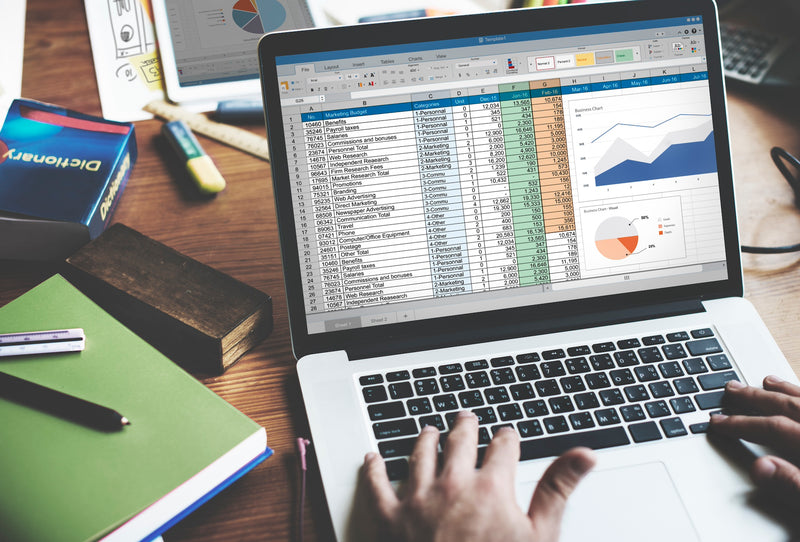 Microsoft Excel: The Basics